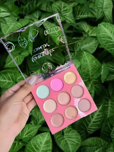 CORRECTOR EN PALETA