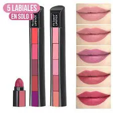 Labial barra 5 en 1 - EVER BEAUTY